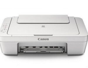 Canon PIXMA MG2900 Setup and Scanner Driver Download